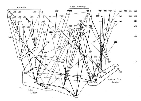 Fig8.1a