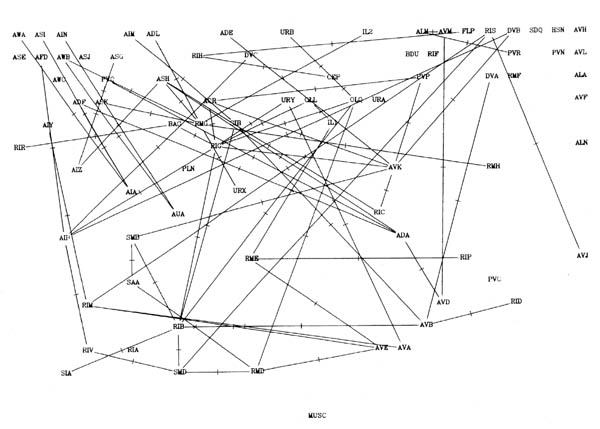 Fig8.1c